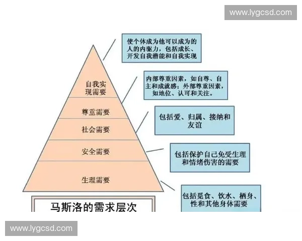 以爆发储备为核心驱动力的未来发展潜能与战略布局研究系统性路径